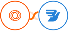 Loops + MessageBird Integration