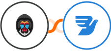 Mandrill + MessageBird Integration