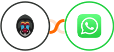 Mandrill + WhatsApp Integration