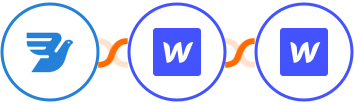 MessageBird + Webflow (Legacy) + Webflow Integration