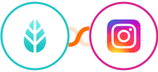 MoreApp + Instagram Lead Ads Integration