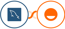 MySQL + Rise Integration