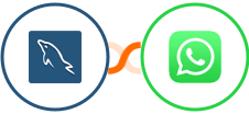 MySQL + WhatsApp Integration