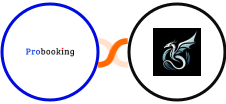 Probooking + Skyvern Integration
