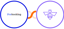 Probooking + VerifyBee Integration
