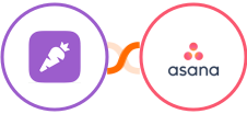 Prospect.io + Asana Integration