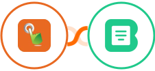 SMS Gateway Hub + Basin Integration