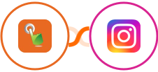 SMS Gateway Hub + Instagram Lead Ads Integration