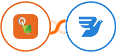 SMS Gateway Hub + MessageBird Integration