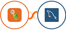 SMS Gateway Hub + MySQL Integration