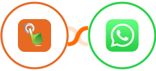 SMS Gateway Hub + WhatsApp Integration