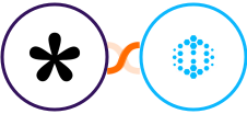 Tally + Hexowatch Integration