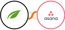 Thrive Themes (Thrive Automator) + Asana Integration