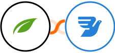 Thrive Themes (Thrive Automator) + MessageBird Integration