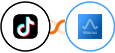 TikTok Lead Generation + Albacross Integration