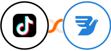 TikTok Lead Generation + MessageBird Integration