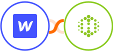 Webflow + Hexometer Integration