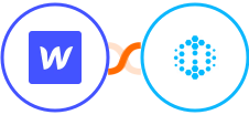 Webflow + Hexowatch Integration