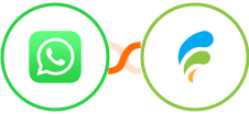 WhatsApp + Fluid Pay Integration