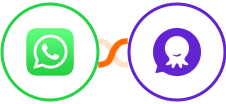WhatsApp + PulpoChat Integration
