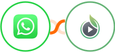 WhatsApp + SproutVideo Integration