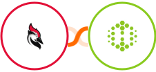 Woodpecker.co + Hexometer Integration