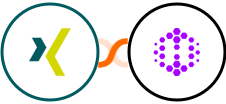 XING Events + Hexomatic Integration