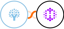 You Need A Budget (YNAB) + Hexomatic Integration