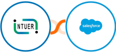 ZNICRM (Intueri CRM) + Salesforce Integration