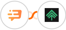 Dashly + Bumpups Integration