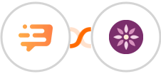 Dashly + EmailFig Integration