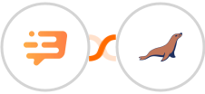 Dashly + MariaDB Integration