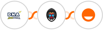DNA Super Systems + Mandrill + Rise Integration