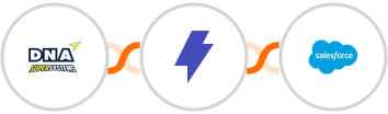 DNA Super Systems + Straico + Salesforce Integration