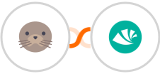 DocuSeal + Alegra Integration