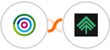dotdigital + Bumpups Integration