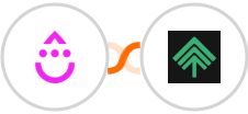 Drip + Bumpups Integration