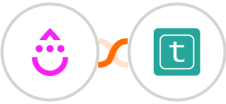 Drip + Typless Integration
