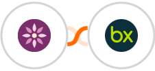 EmailFig + bexio Integration