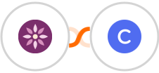 EmailFig + Circle Integration