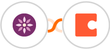 EmailFig + Coda Integration