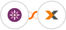 EmailFig + Lexware Integration