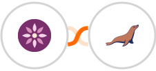 EmailFig + MariaDB Integration