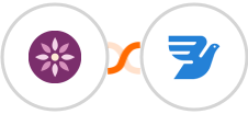EmailFig + MessageBird Integration