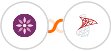 EmailFig + SQL Server Integration
