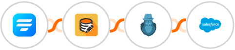 Fluent Forms + Data Modifier + Bouncer + Salesforce Integration
