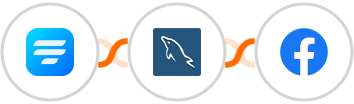 Fluent Forms + MySQL + Facebook Custom Audiences Integration