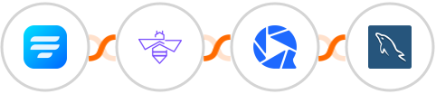 Fluent Forms + VerifyBee + WebinarGeek + MySQL Integration