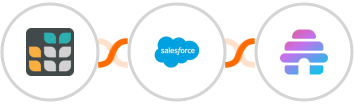 Grist + Salesforce Marketing Cloud + Beehiiv Integration