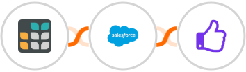 Grist + Salesforce Marketing Cloud + ProveSource Integration